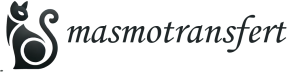 MasmoTransfert